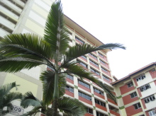 Blk 209 Bishan Street 23 (Bishan), HDB 4 Rooms #379522